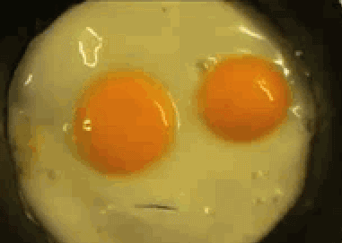 Egg-speak.gif