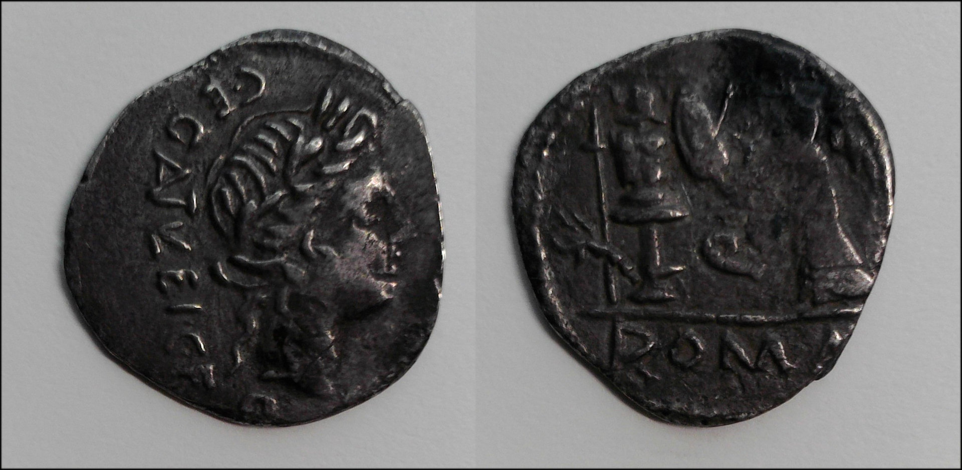 Egnatuleius Quinarius.jpg