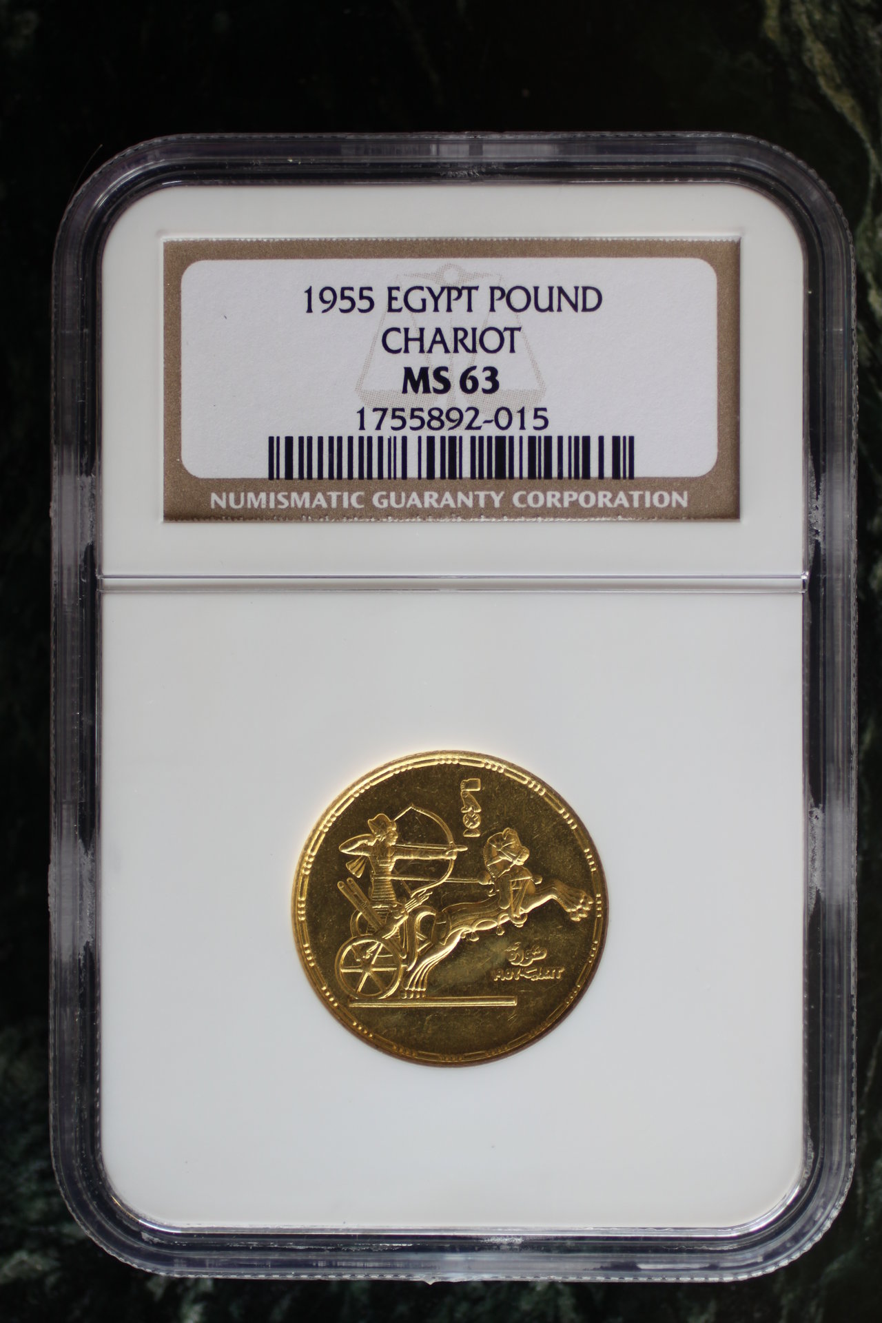 egy1955a.jpg