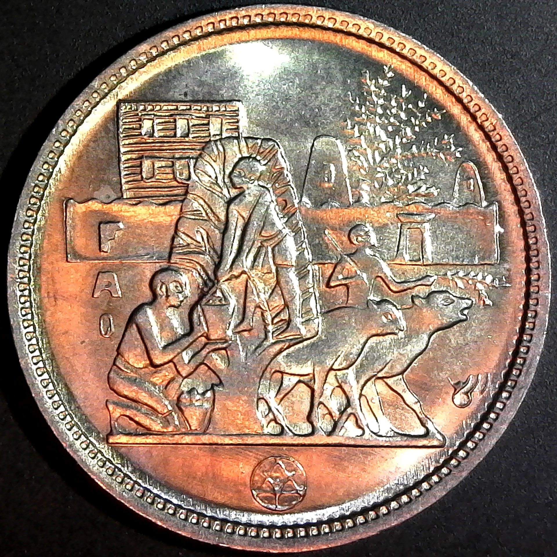 Egypt 5 Piastres 1977 obv A.jpg