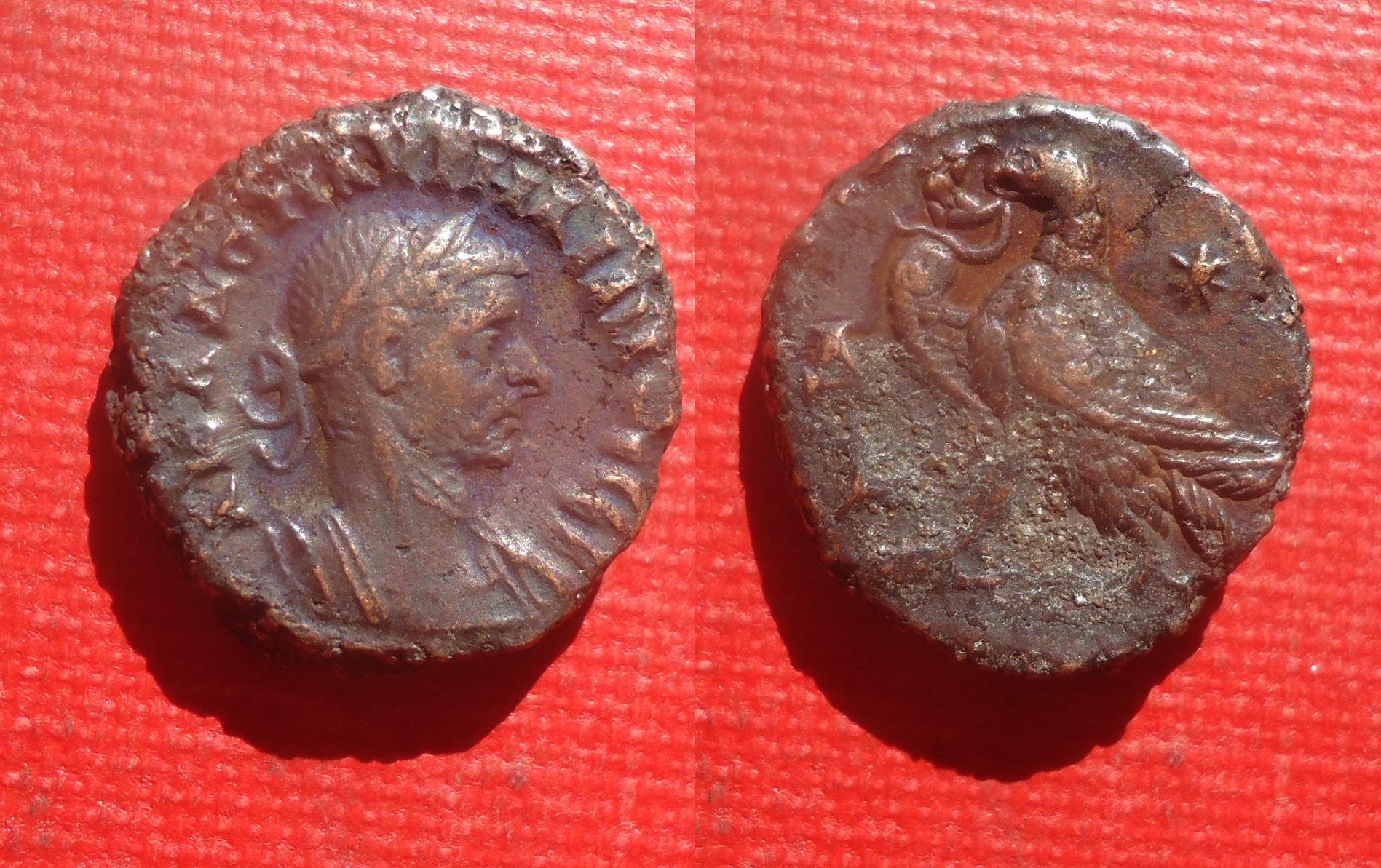 Egypt - Aurelian Eagle Delta over L May 2021 (0).jpg