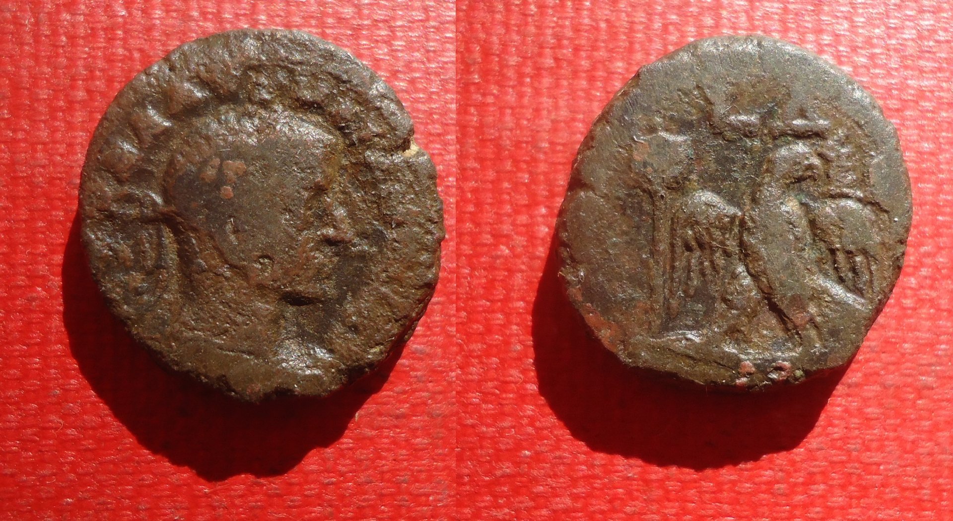 Egypt - Aurelian & Maxim Oct 2019 (0a).jpg