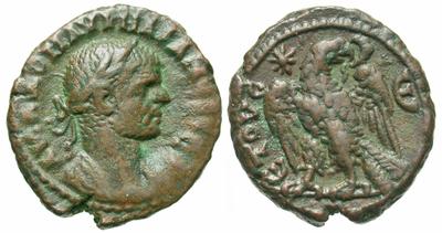 Egypt - Aurelian Tet Eagle E - Auct1.jpg