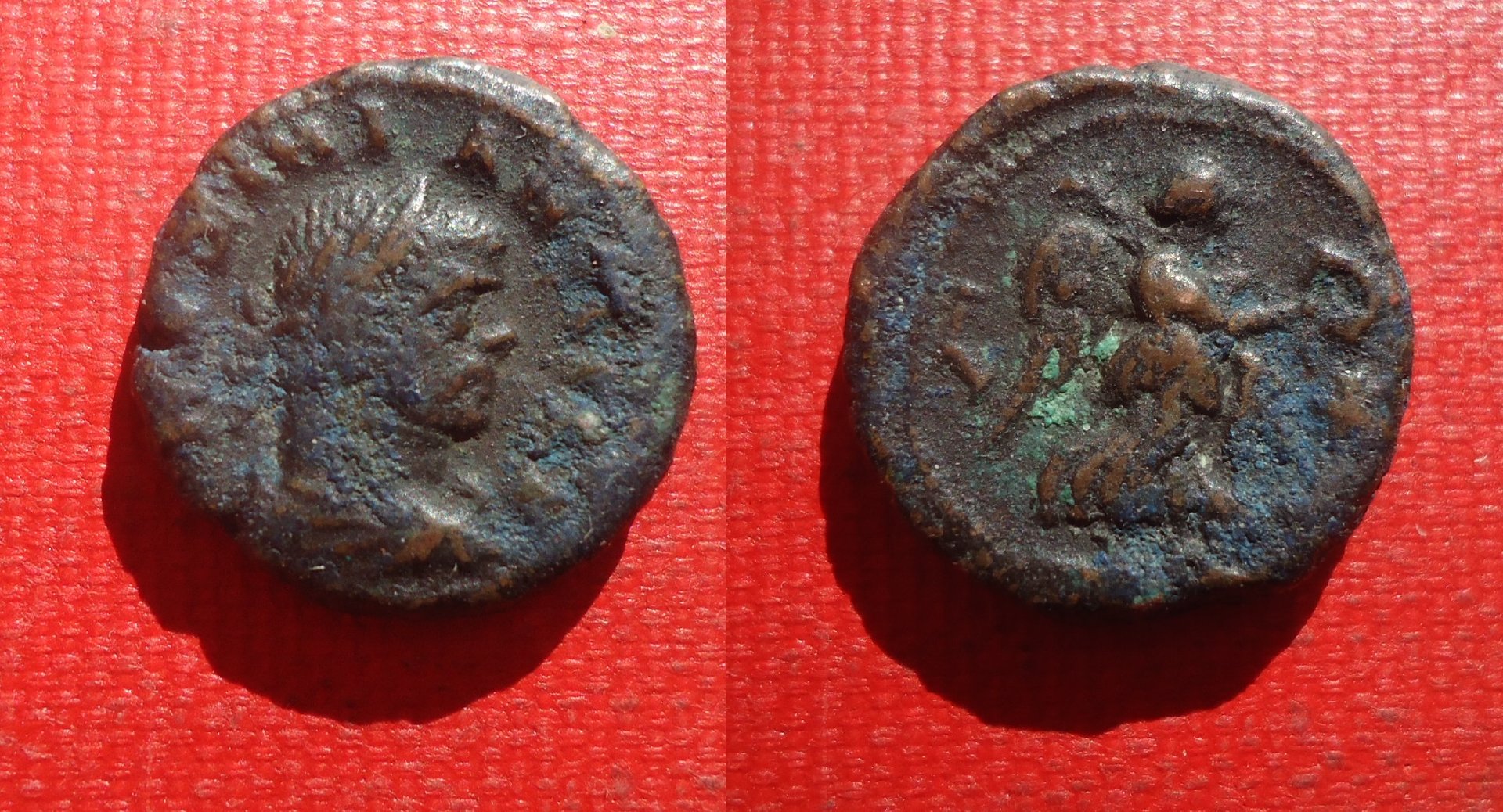 Egypt - Maxim & Aurelian Oct 2019 (0).jpg