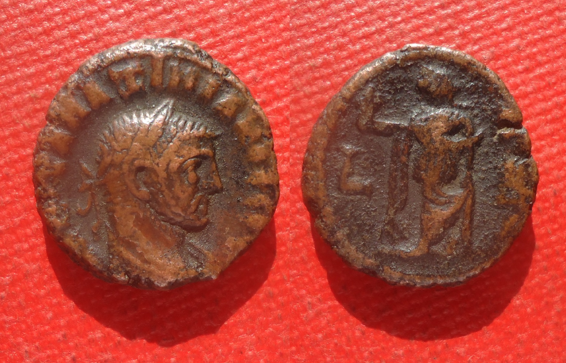 Egypt - Maximianus tet. Elpis lot Sep 2020 (0).jpg