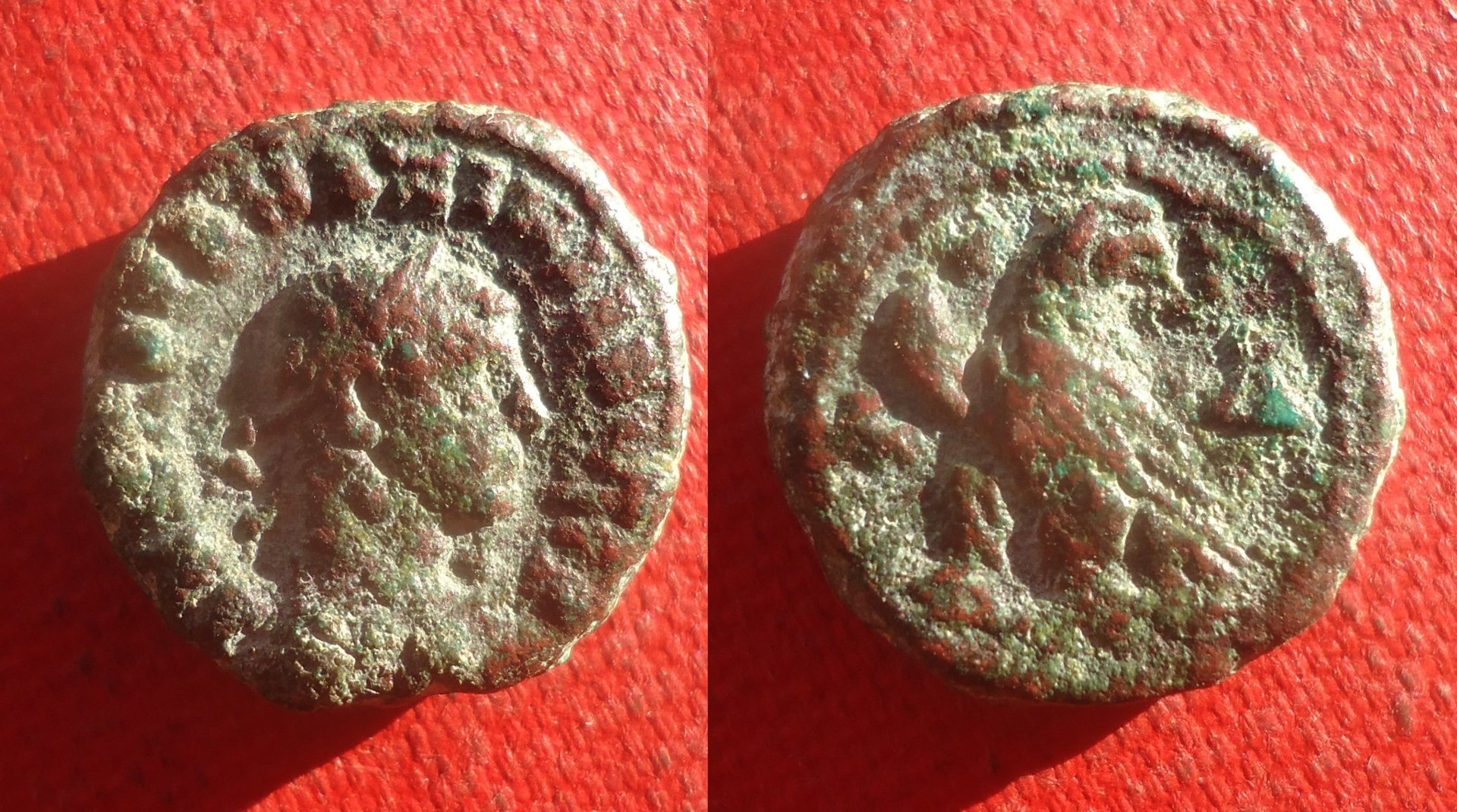 Egypt - Maximinius eagle NC Lot 2020 (0).jpg