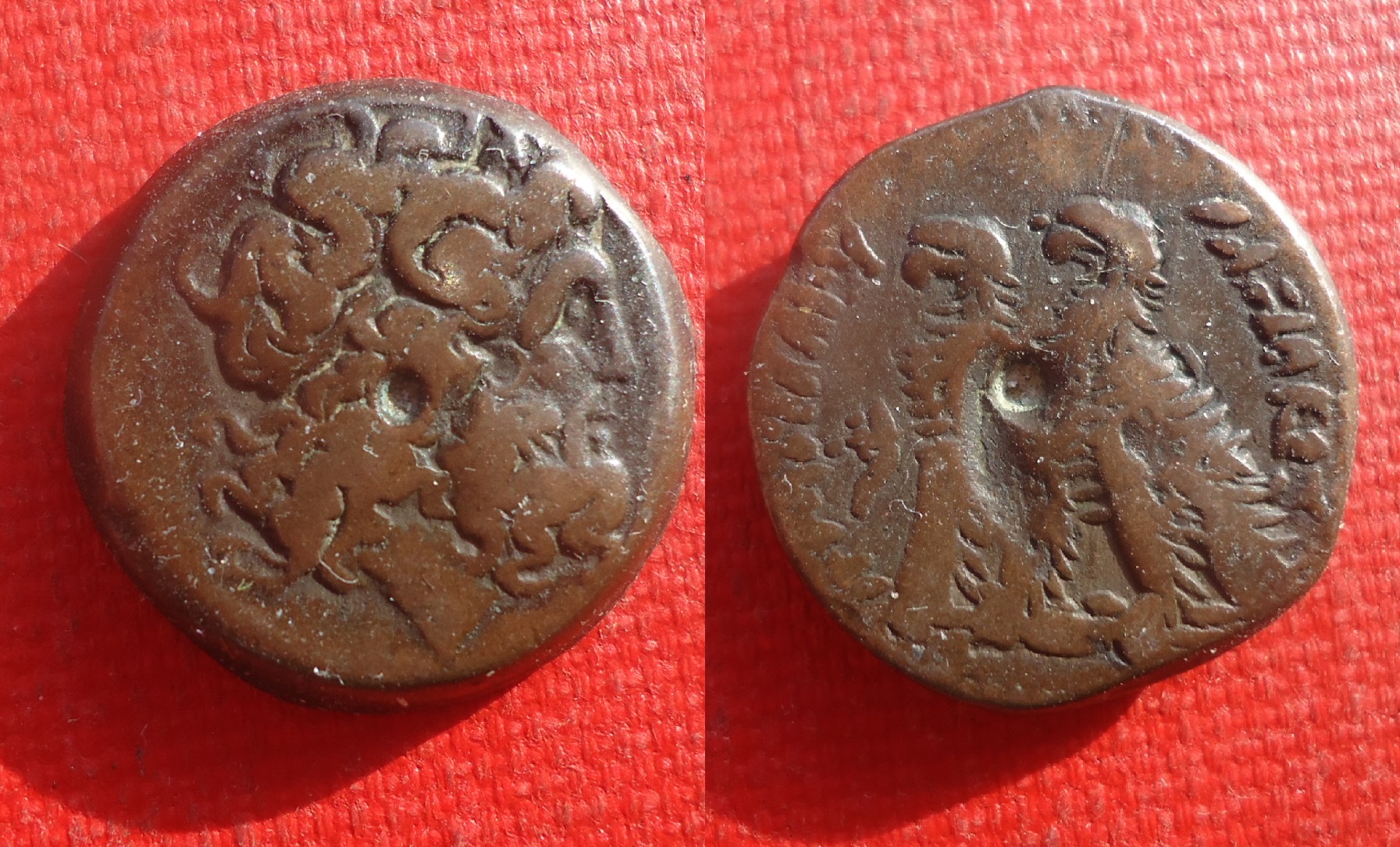 Egypt Ptolemy VI - AE 20 June 2018 (0).jpg