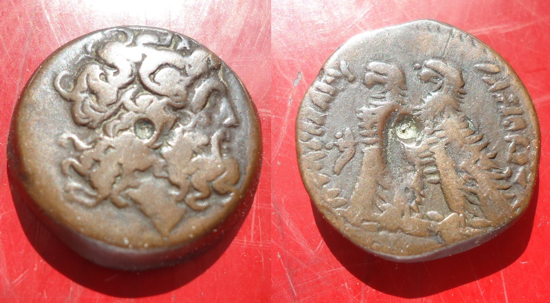 Egypt - Ptolemy VI diobol Jun 2018 (0).JPG