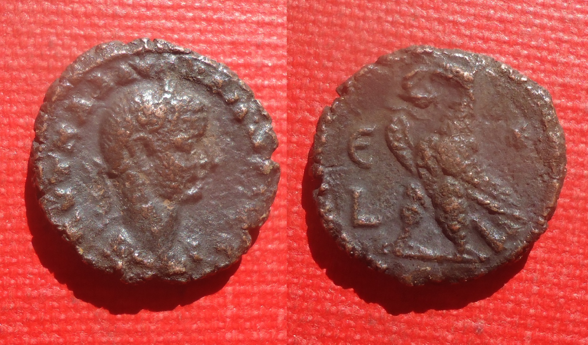 Egypt - Tet Roman unknown May 2021 (0).jpg