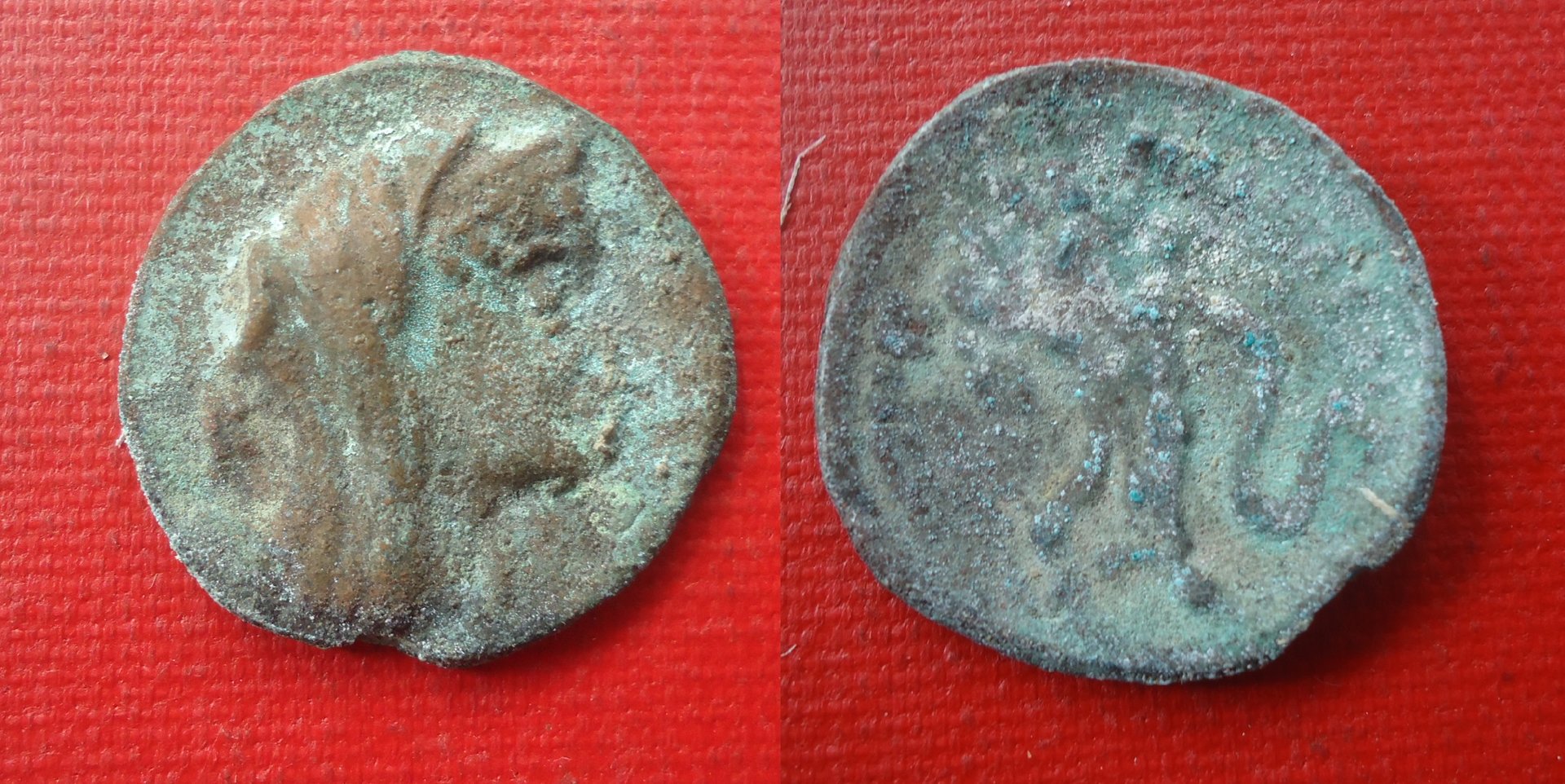 Egypt - Uknown Veiled cornucop AZ Sep 2019 (0).jpg