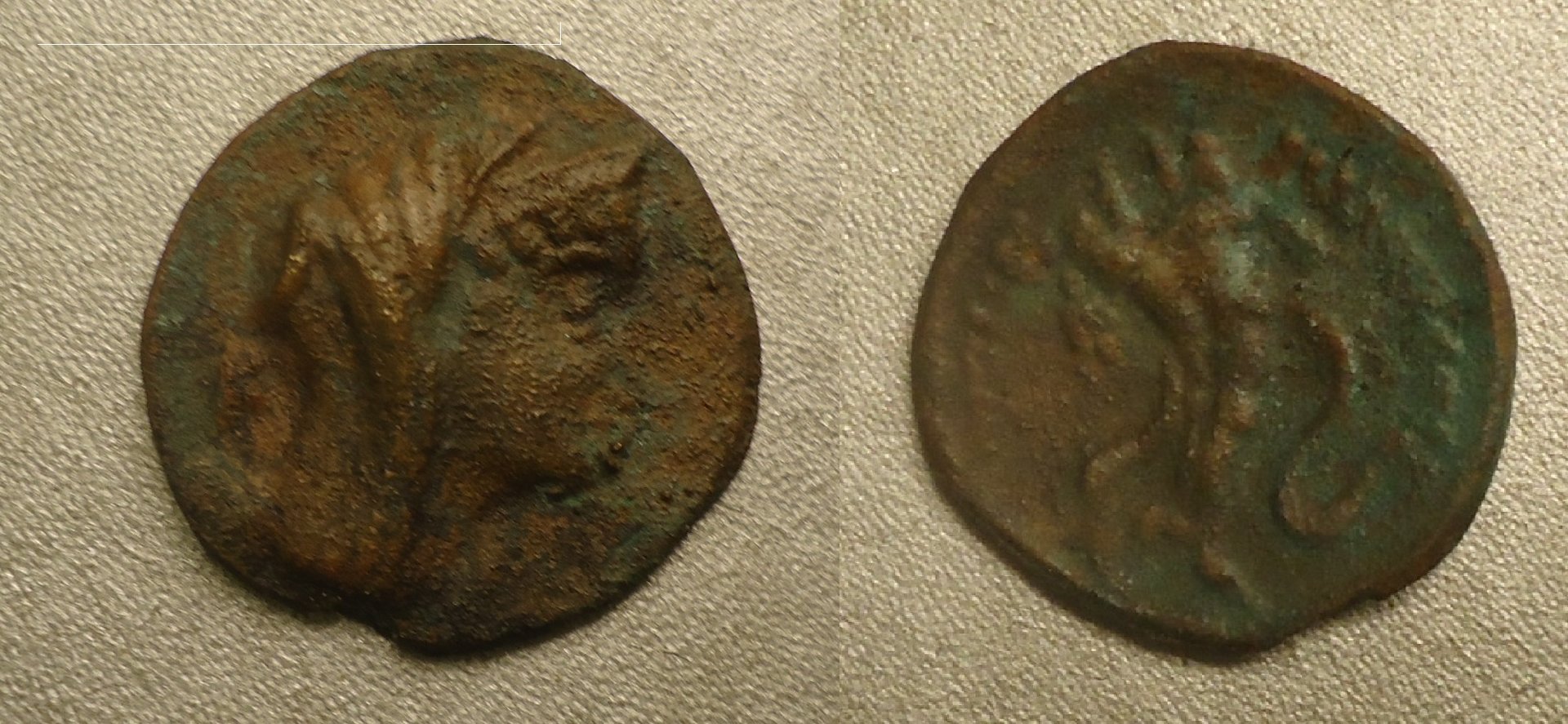 Egypt - Uknown Veiled cornucop AZ Sep 2019clean (0).jpg