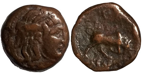 ekbatana-medusa-both.jpg