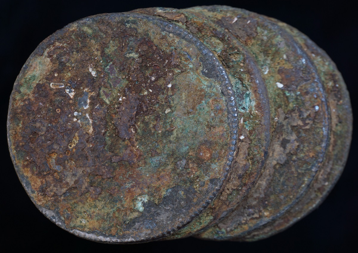 El Cazador Clump 2a.jpg