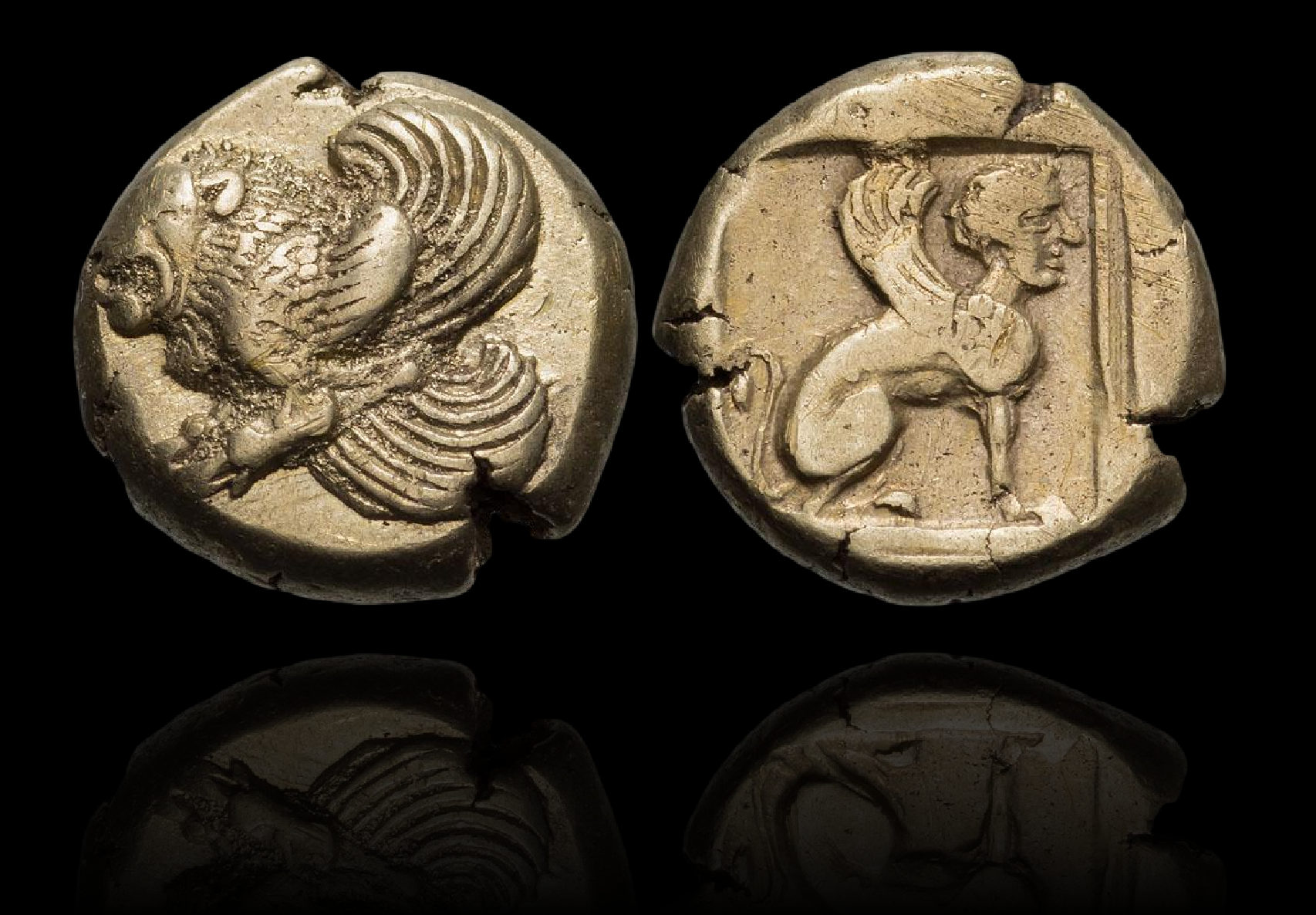 El_Hekte_Winged_Lion REFLECTION.png