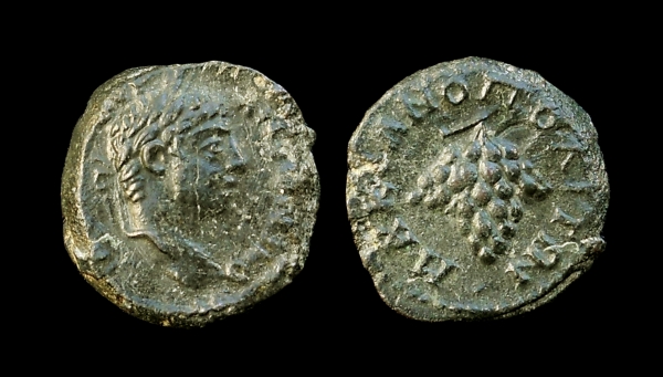 elag mark grapes 6.jpg