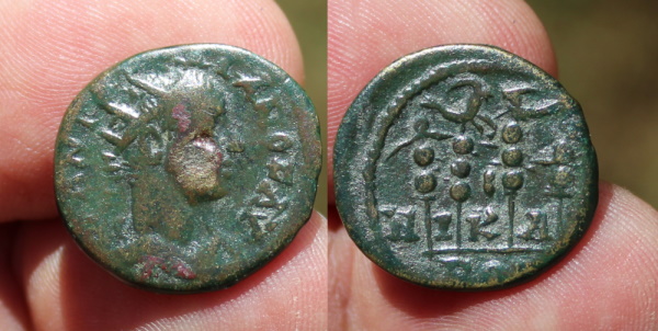 Elag Nic 6.jpg