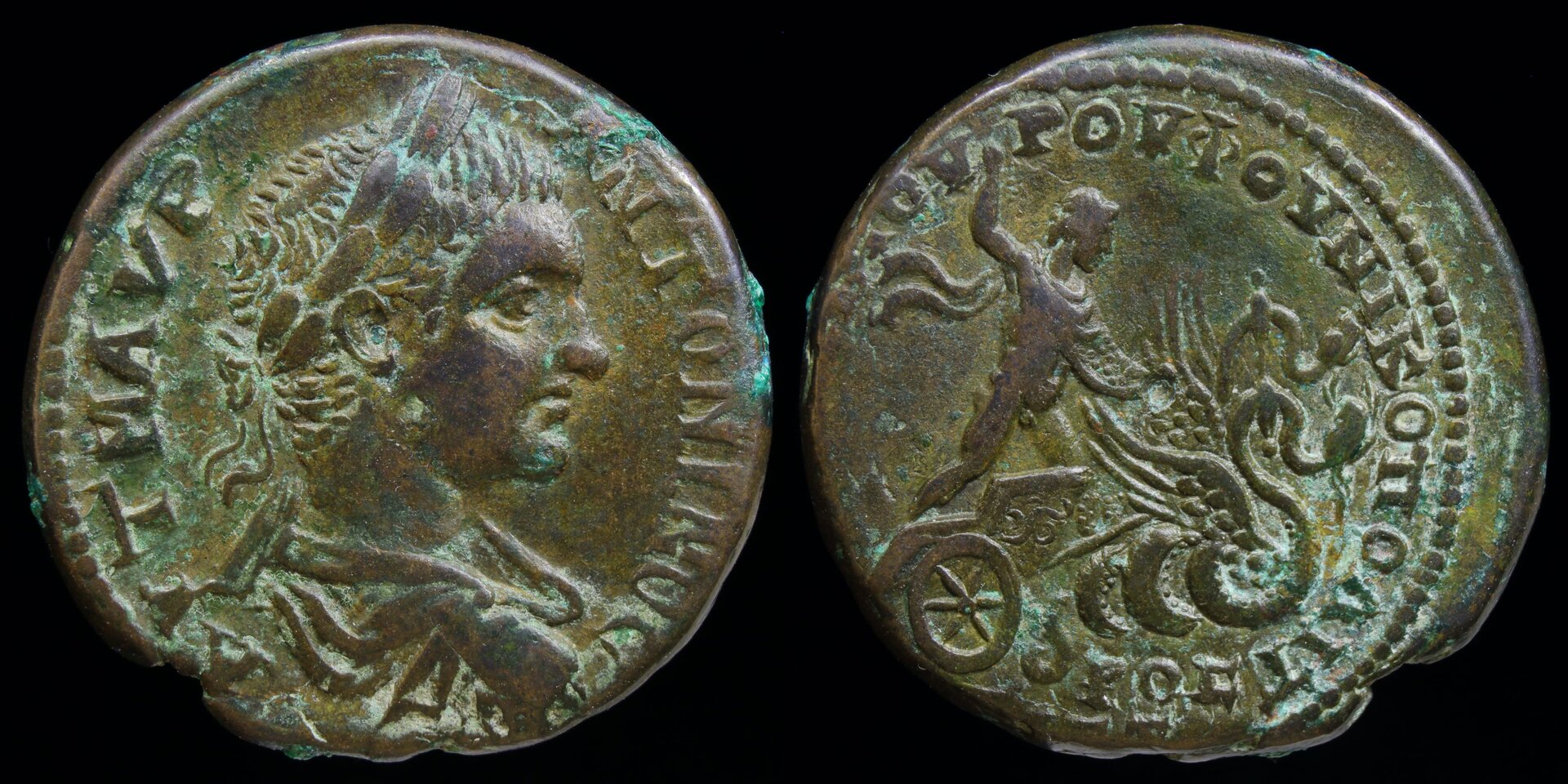elagab triptolemos.jpg