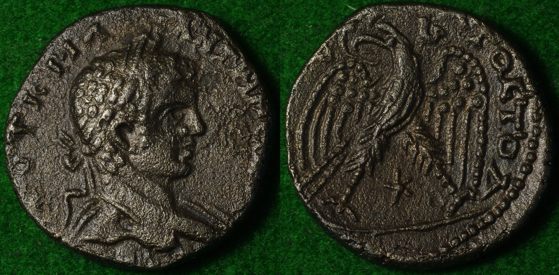 Elagabalus 1-horz.jpg