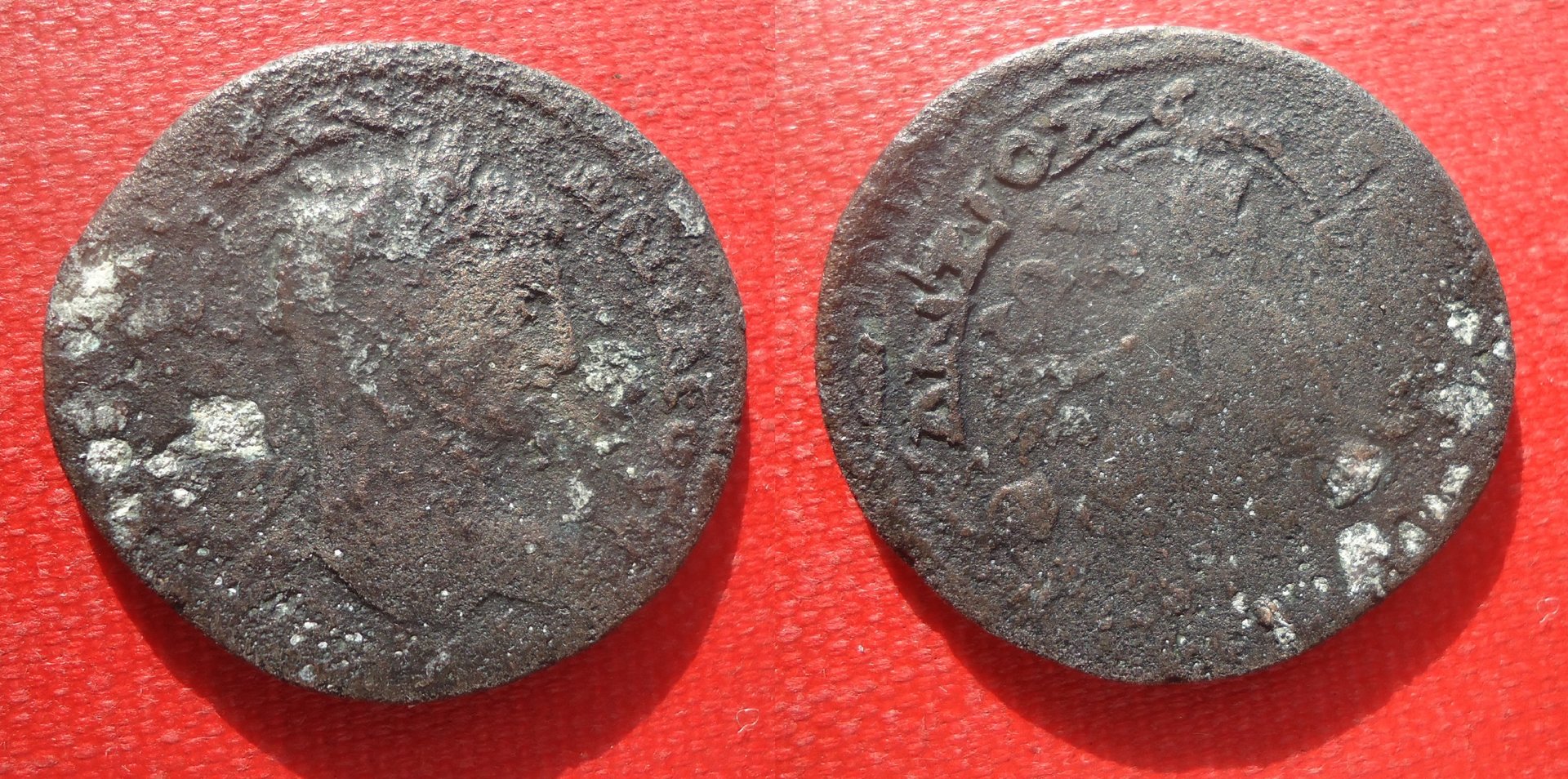 Elagabalus - Antioch Tyche on rock lot Jan 2020 (2).JPG