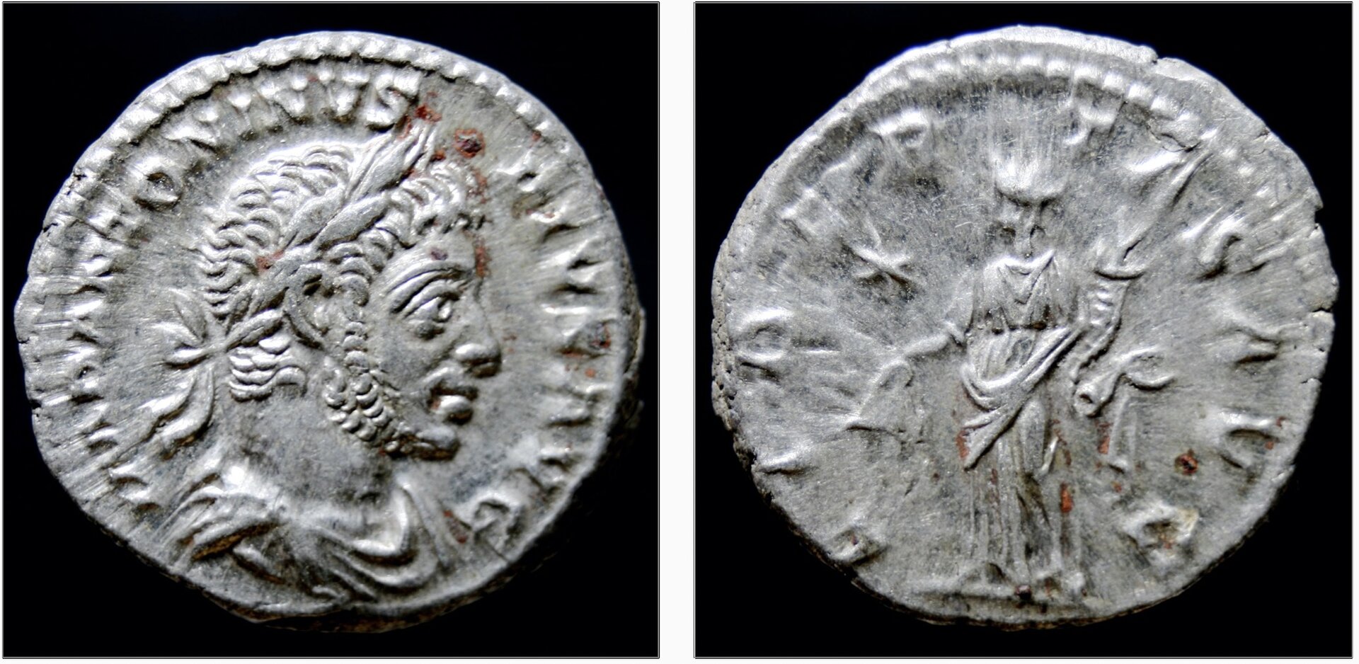elagabalus libertas.jpg