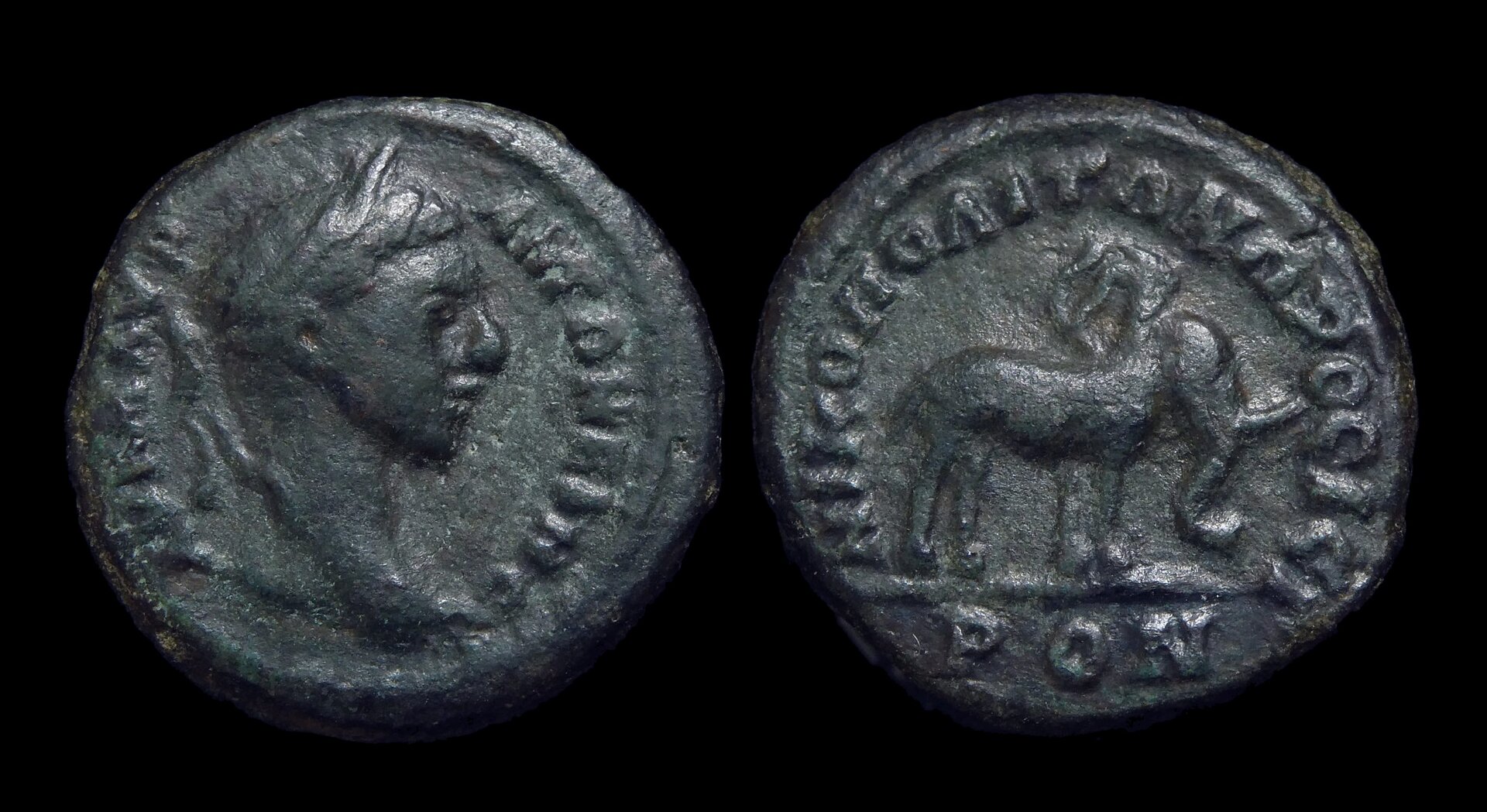 Elagabalus - Nicopolis AE17 Elephant 4233.JPG