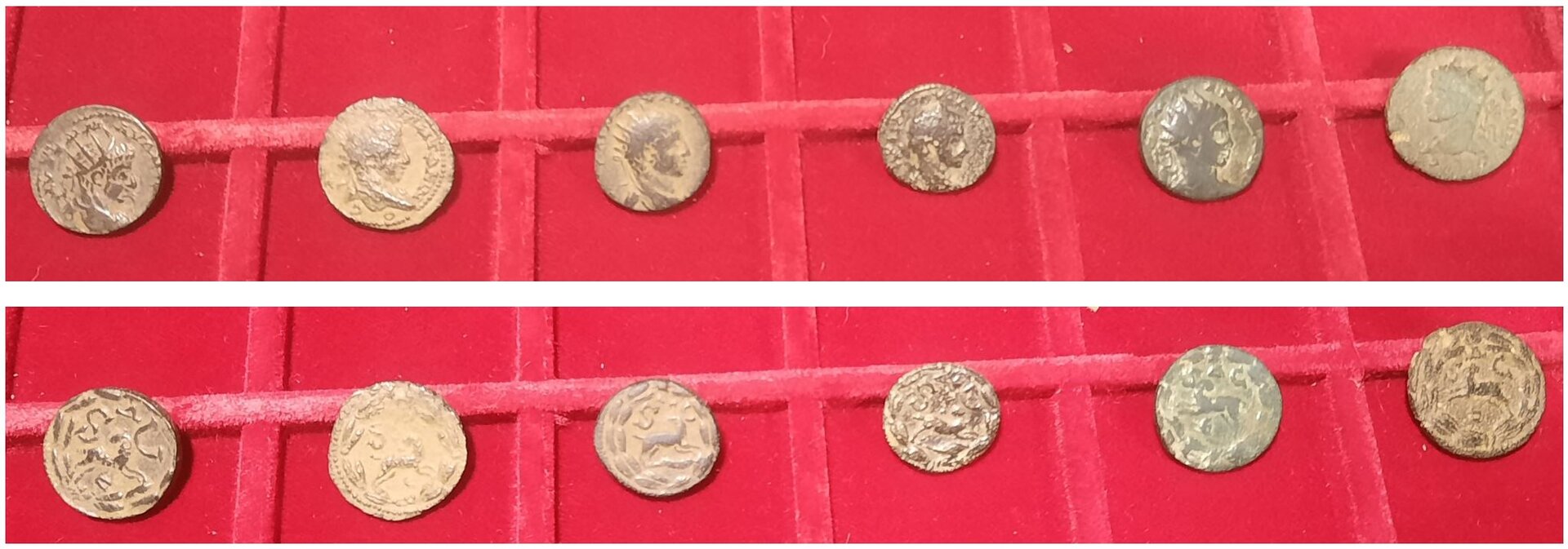 Elagabalus Ram Running Series.jpg