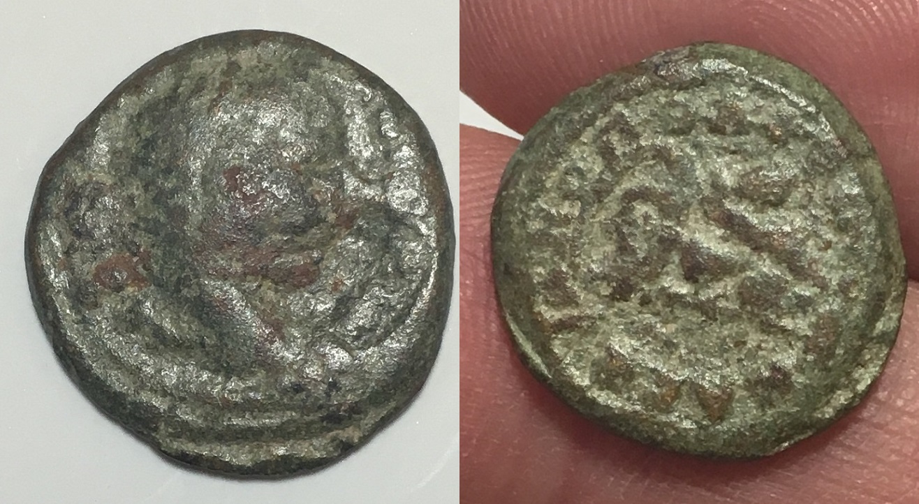 Elagabalus Varbanov 1426.JPG