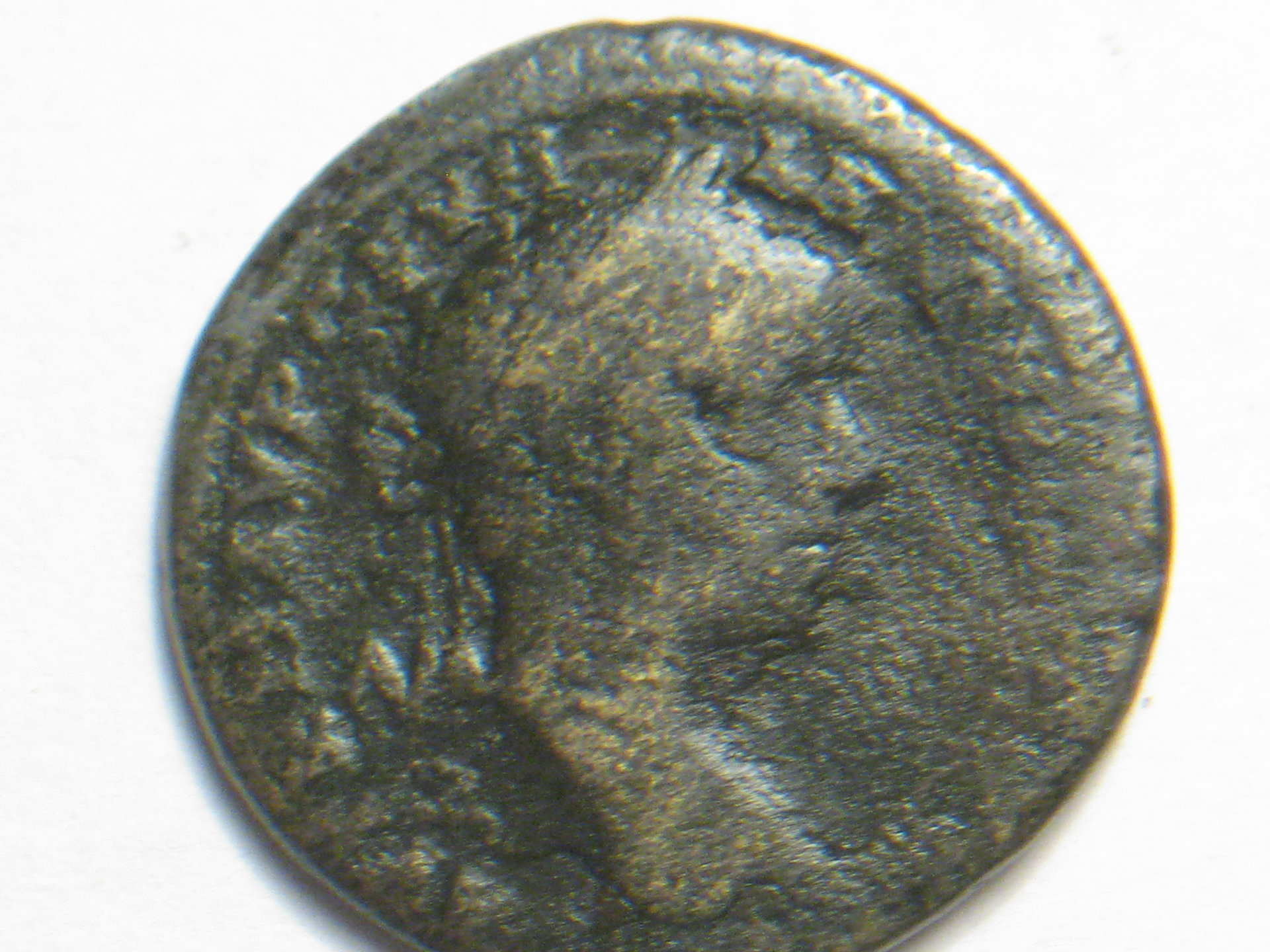 elagalabus 001.JPG