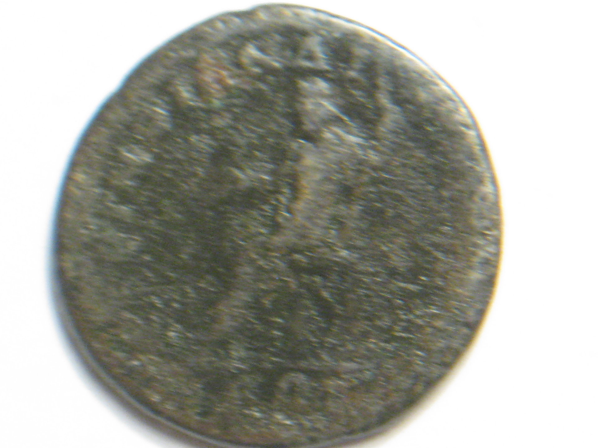 elagalabus 002.JPG