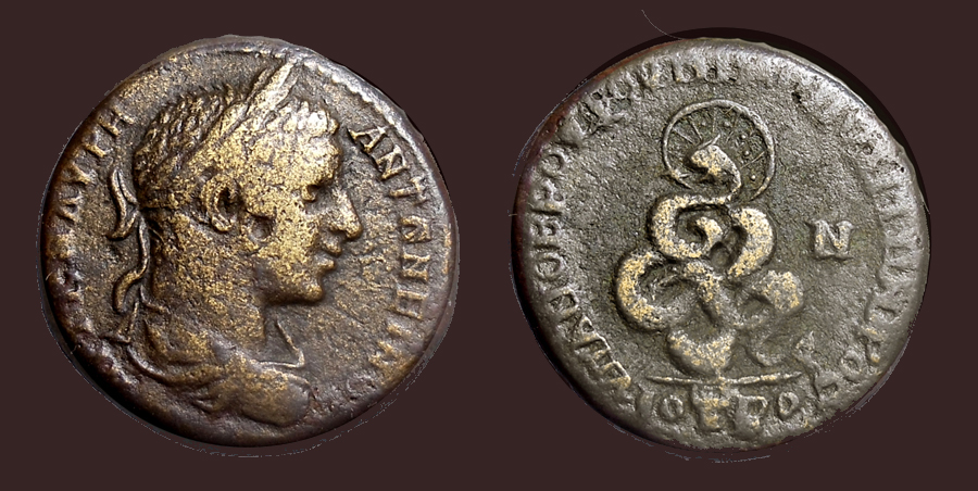 ElagNicopolisSerpent.jpg