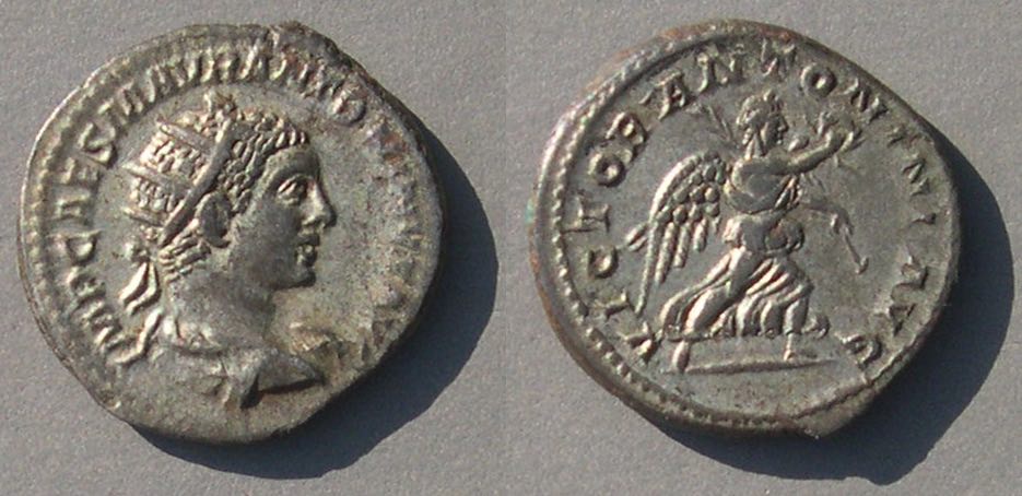 ElagVA8024.jpg