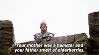 elderberries.jpg