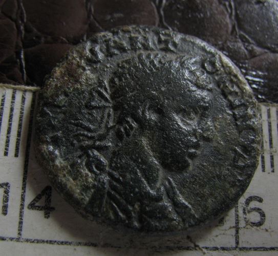 elegabalus or caracalla obv.JPG