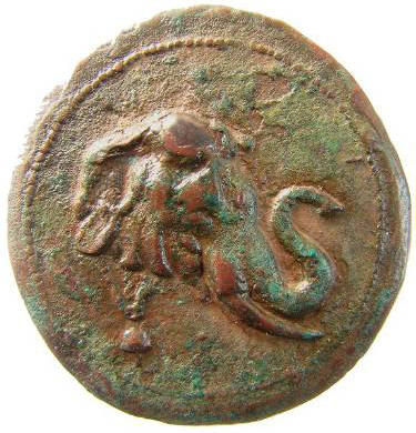 elephant a.jpg