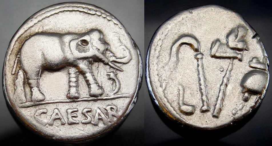 elephant.jpg