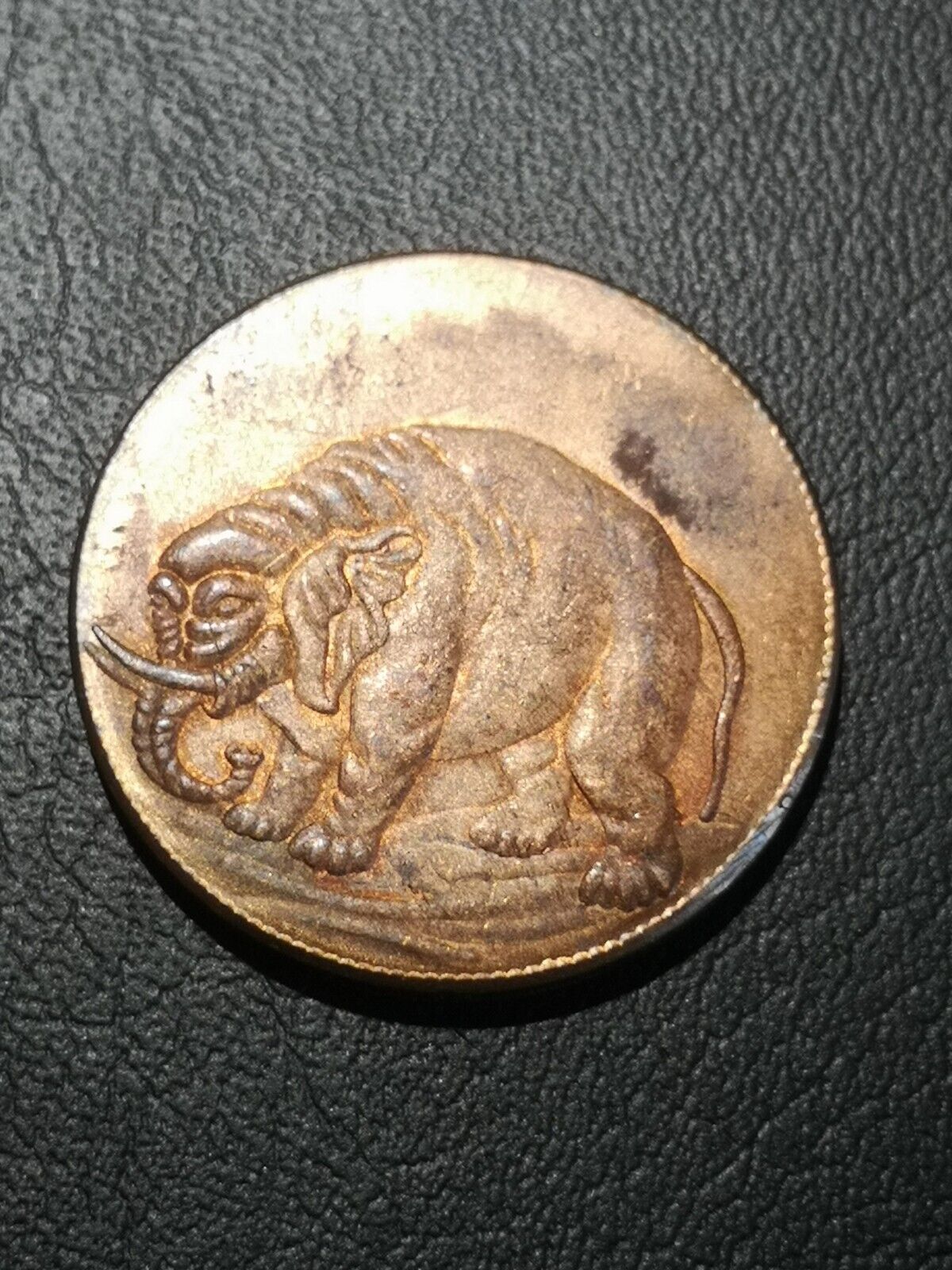 elephant1.jpg