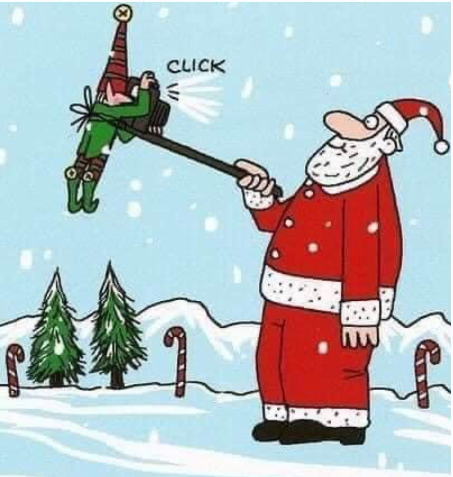 Elfie Stick.JPG