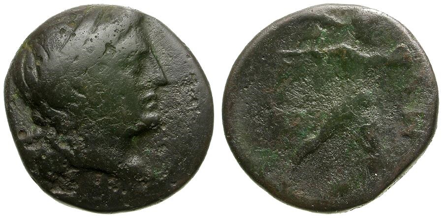 Elis AE20.jpg