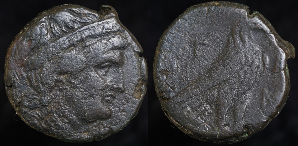 Elis AE25a.jpg