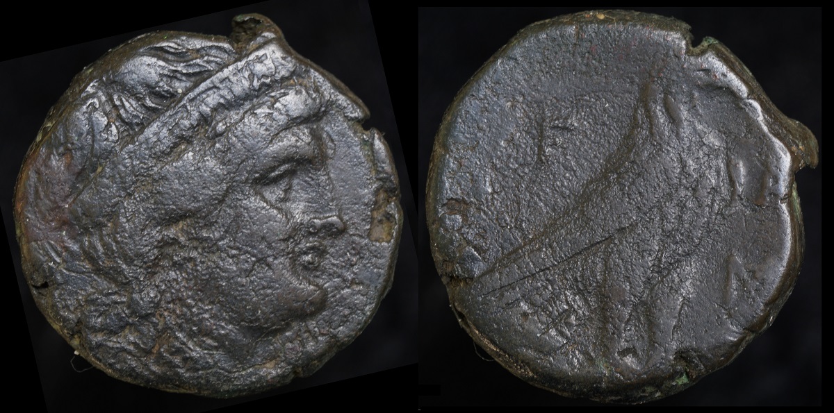 Elis AE25a.jpg