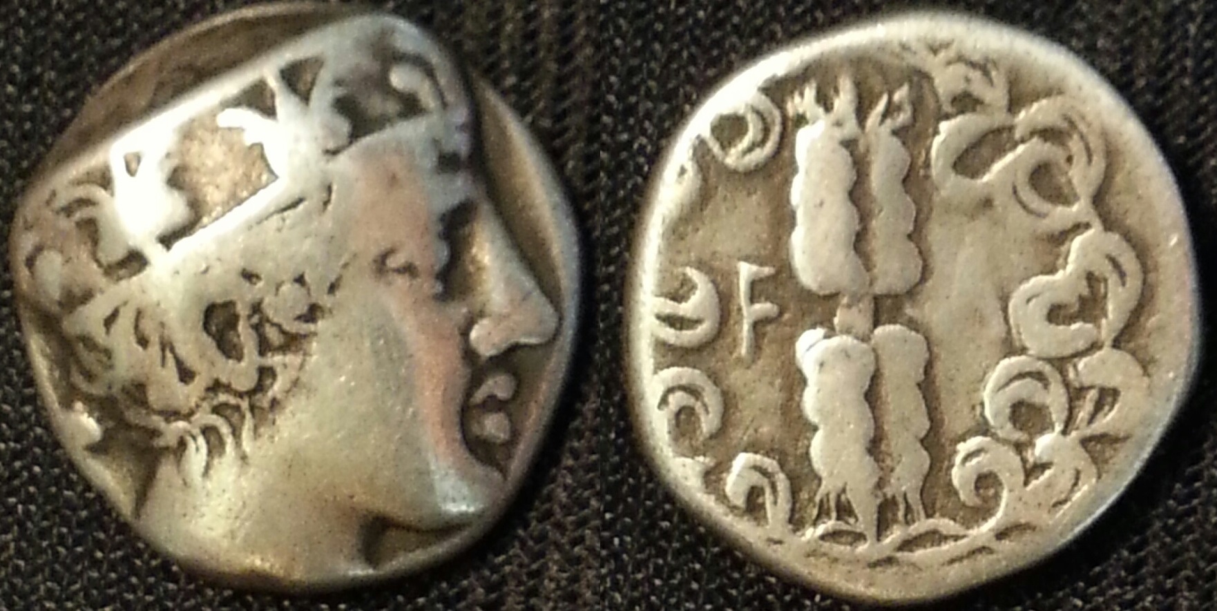 elis stater 1.jpg