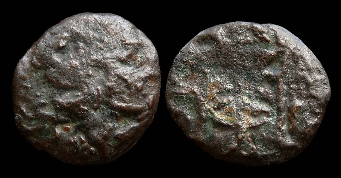 Elis Zakynthos.jpg