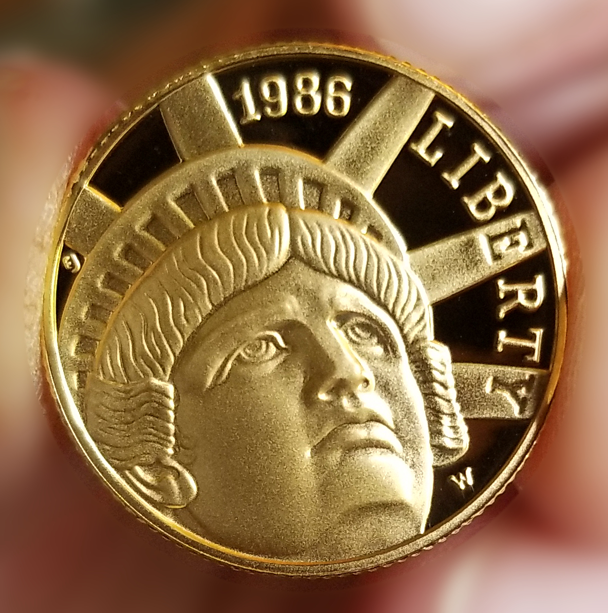 Ellis Island satin Gold cropped cameo set of 6 Cameo Obverse CLOSE UP.jpg
