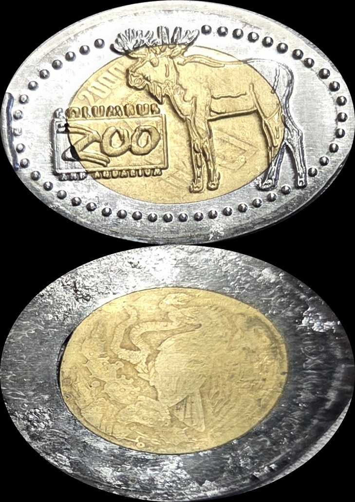 elongated moose 1-vert.jpg