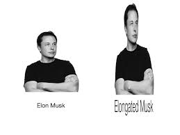 Elongated musk.jpg