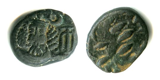 ELYM 01.jpg
