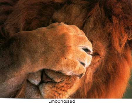 embarrassed 6.jpg