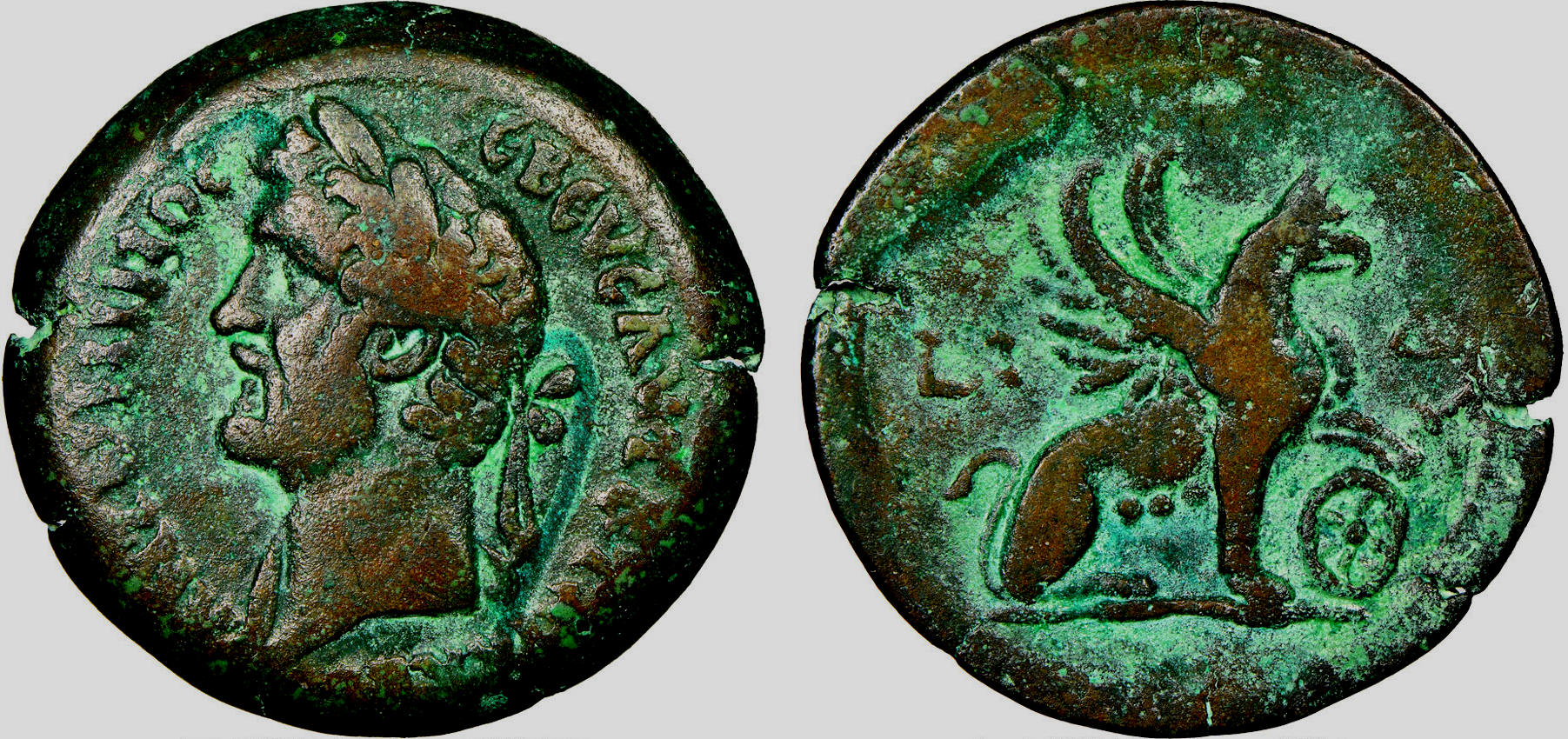 Emmett 1524, Alexandria Egypt.jpg