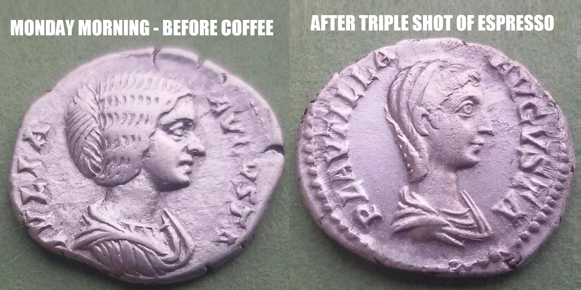 Empresses of Caffeine.png