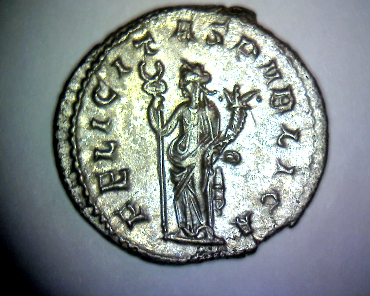 EN-163 REV.jpg